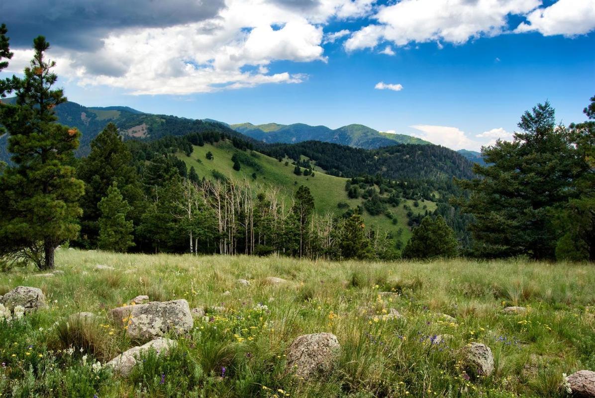 Perfect Cabin, 2 Bedrooms, Fireplace, Midtown, Sleeps 5 Ruidoso Buitenkant foto